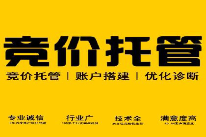 揭秘SEM代运营的成功要素与策略